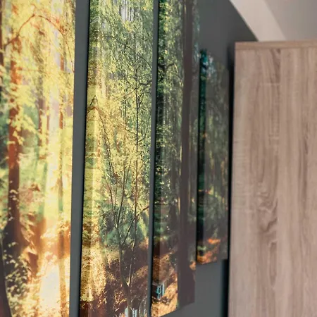 Schwarzwald Mit Pool Und Sauna Appartamento