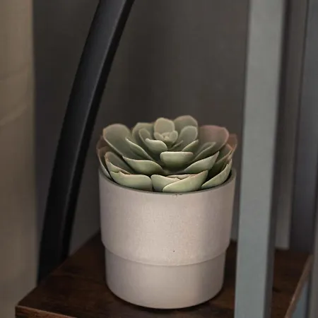 Schwarzwald Mit Pool Und Sauna Appartamento