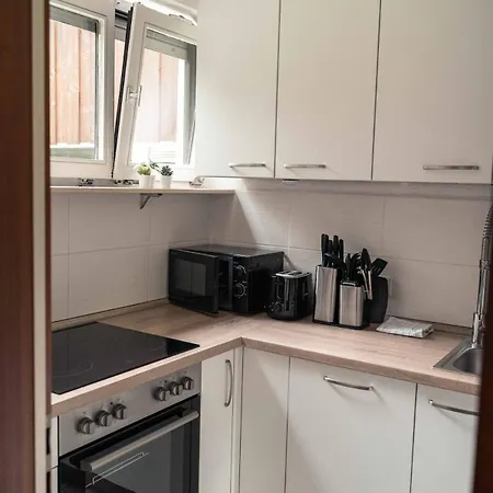 Apartment Schwarzwald Mit Pool Und Sauna *