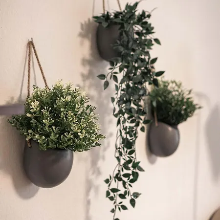 Schwarzwald Mit Pool Und Sauna *